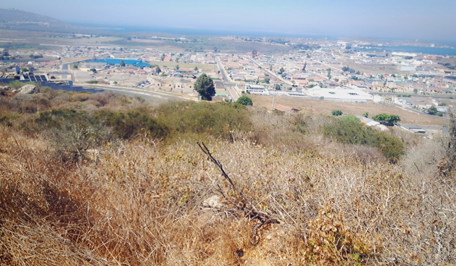 0 Bedroom Property for Sale in Saldanha Heights Western Cape